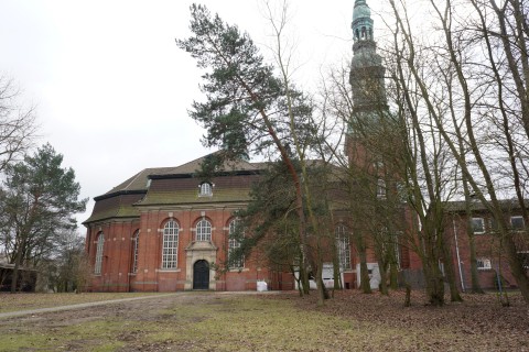 Der-schiefe-Baum-von-St.-Trinitatis-2