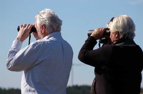 binoculars-2194228_640