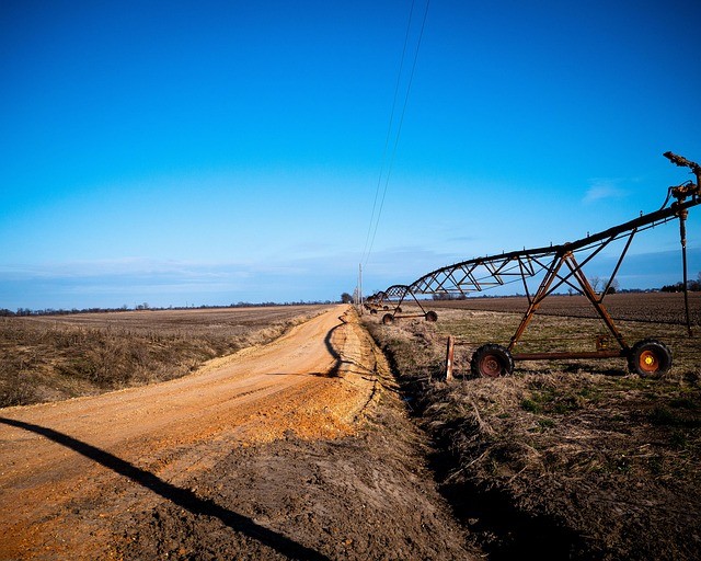 Du bist ja doch unter uns, HERR!