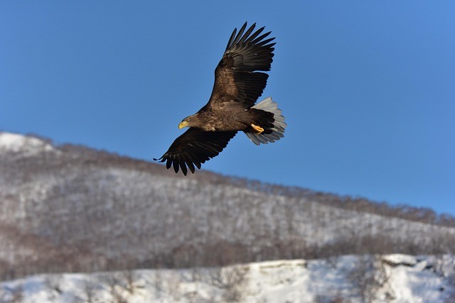 Gott gibt den Müden Kraft